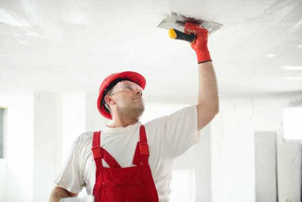 Best Ceiling Drywall Installation  in Irvine, KY