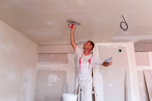 Best Trim and Molding Painting  in Irvine, KY