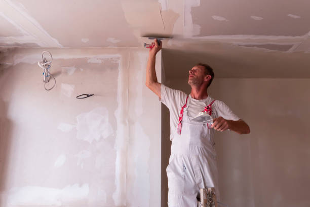 Best Water-Damaged Drywall Repair  in Irvine, KY